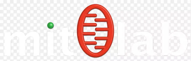 �̱�-��ĸ��־-������