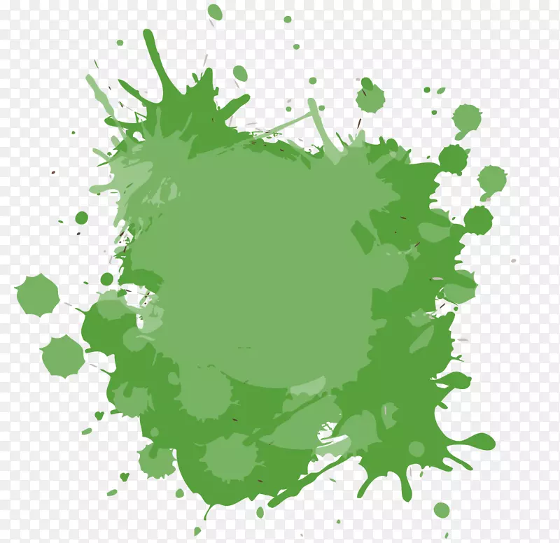 2016 Campeonato Catarinense SWF�����ֽ-�罦-������