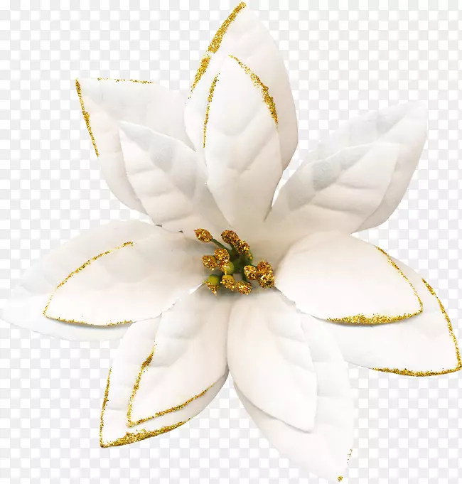 ����ֲ��-Ǿޱ-������