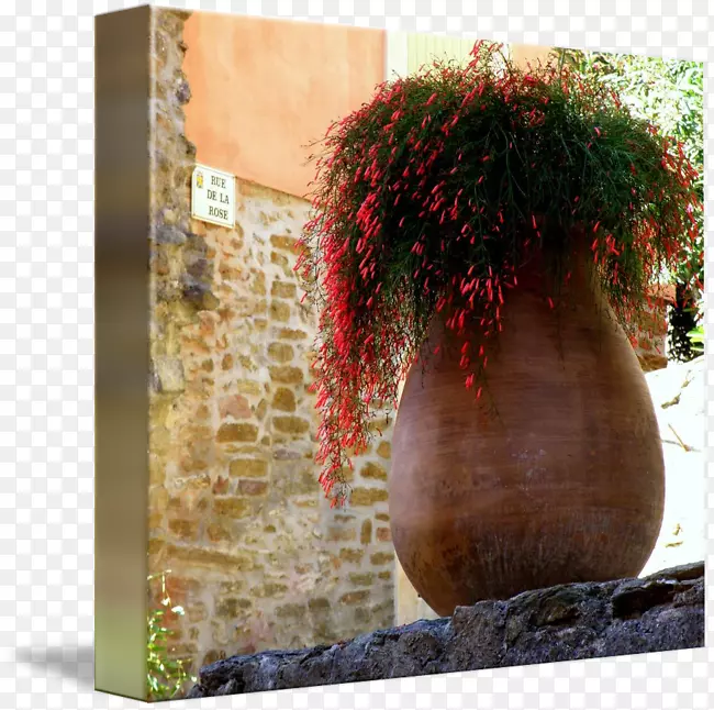 ������-ճ����-������