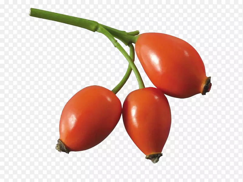 ��̲�¼�Ǿޱ�໨�Ͱ¸���˹-Ұõ���-������