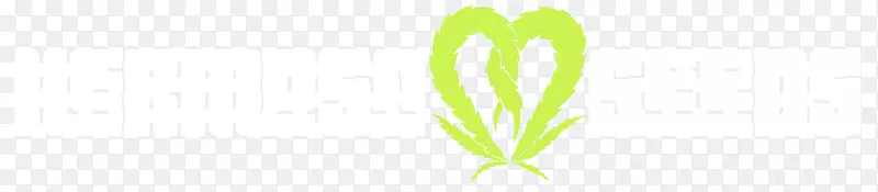 Ҷ���ֲ�ﾥ������������-������