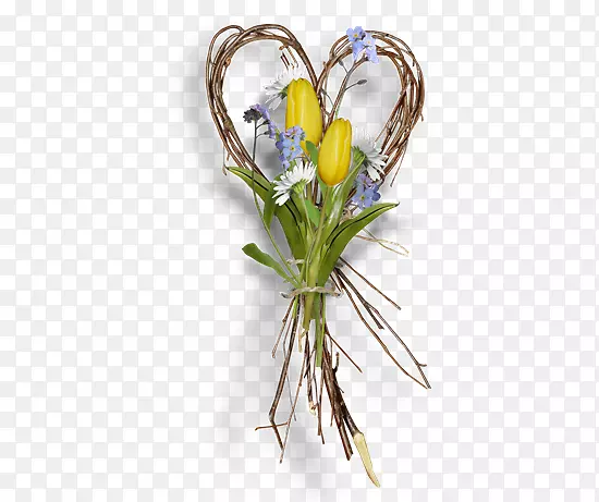 �л���������ƣ����ͣ��ʻ�-��̳-������