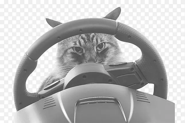 �Ƽ�����Ʒ��-���˽�-������