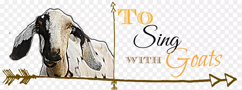 ɽ��������Ʒ����ɽ��Ե�-������