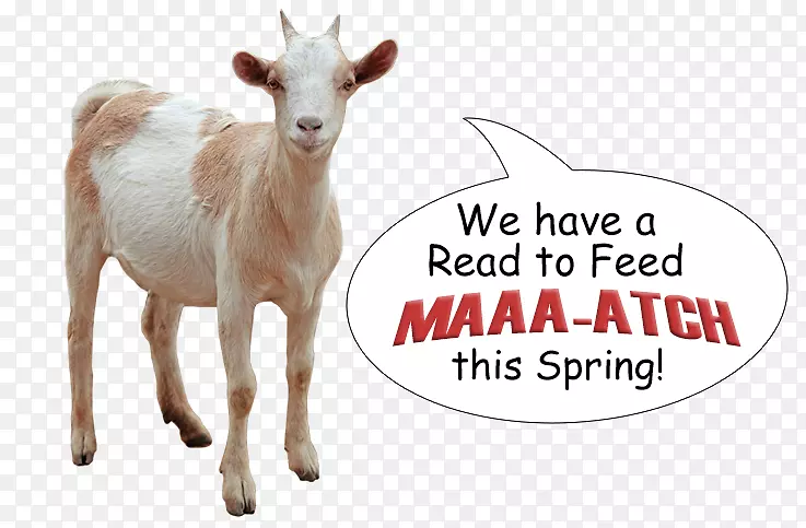 ɽ��ţ��Ұ���������-ɽ���-������