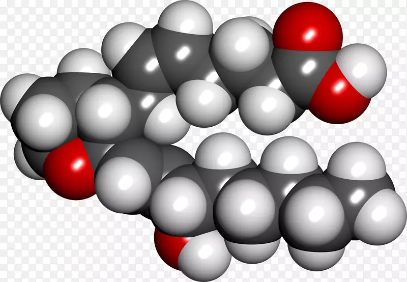 �����������-������