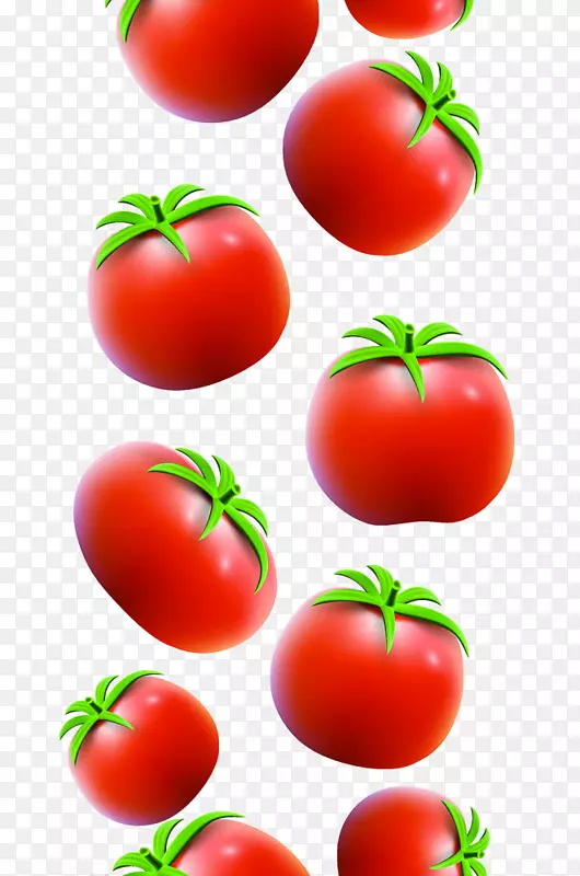 ���ӷ��ѹ�ľ���Ѻ췬��-������