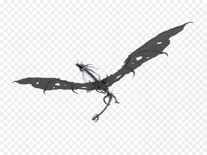 ����-��-������