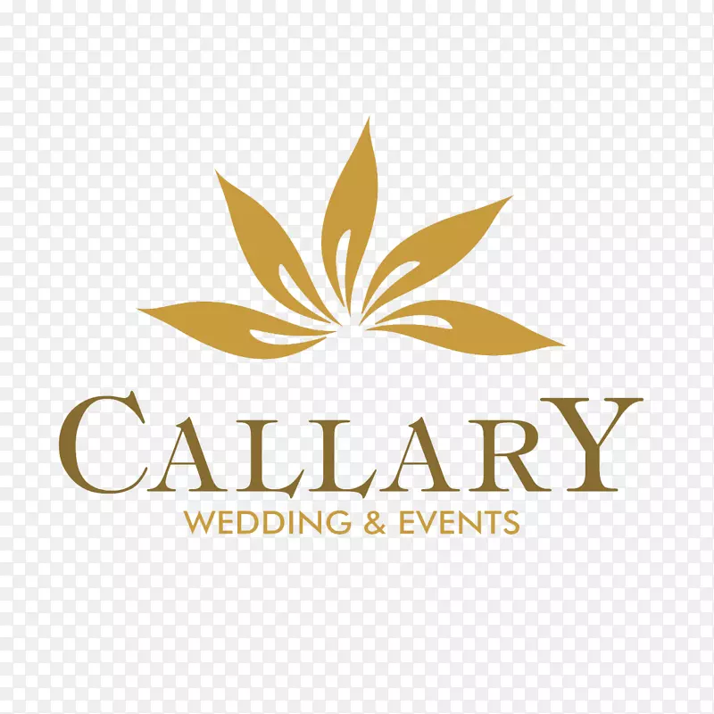 �����������߰�ʲ��������ѧУ�����˹��ѧ�������ֲ���Ԣ�Ҳ���-������