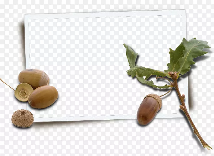 �;�.���Ƭ-������