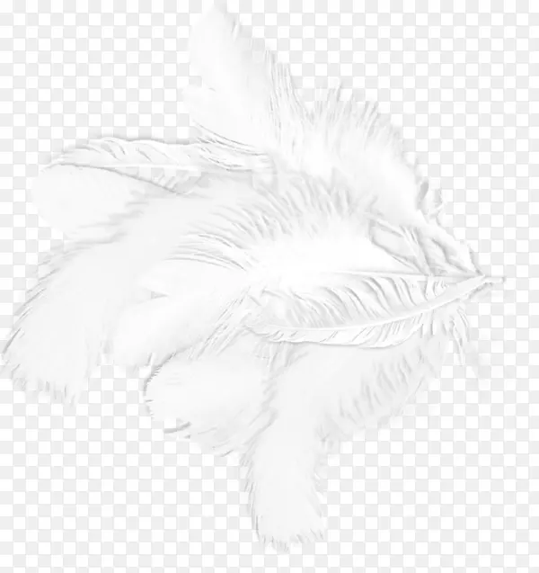 ��ɫ��ë����ɫͼ��.��ɫ��ë-������