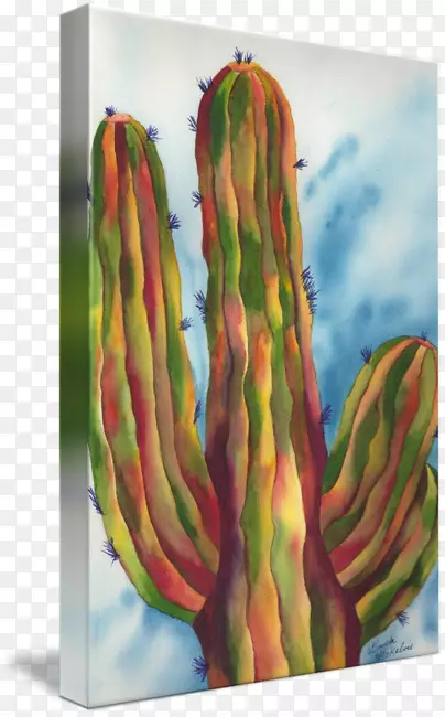 ˮ�ʻ�������������������ˮ��������-������