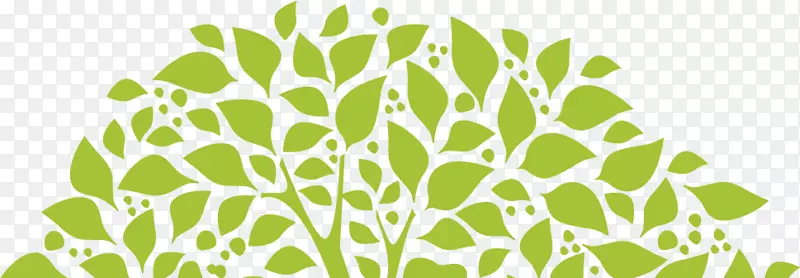 �ɺ�˽ǹ���������ī԰��-����-������