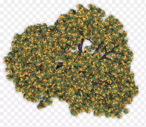 ����-������