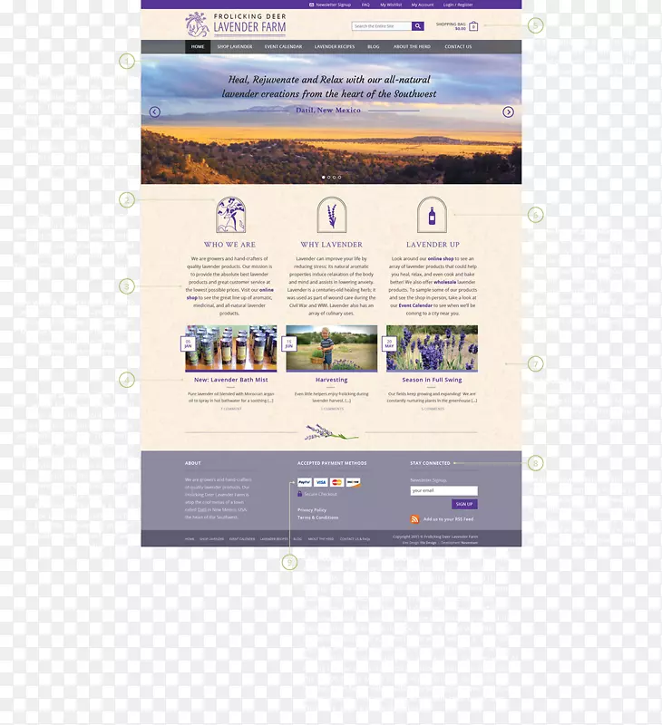 ��������Ʒ��չʾ��ý�����û�����-������