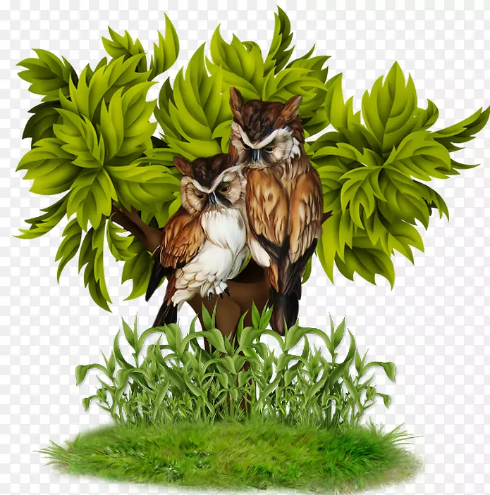 ����������-���ϵ�èͷӥ-������