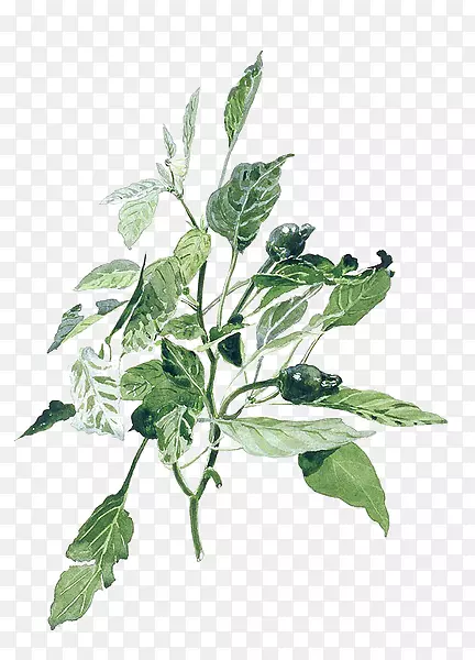 ˮ�ʻ���ͼ.�ֻ�ֲ��-������