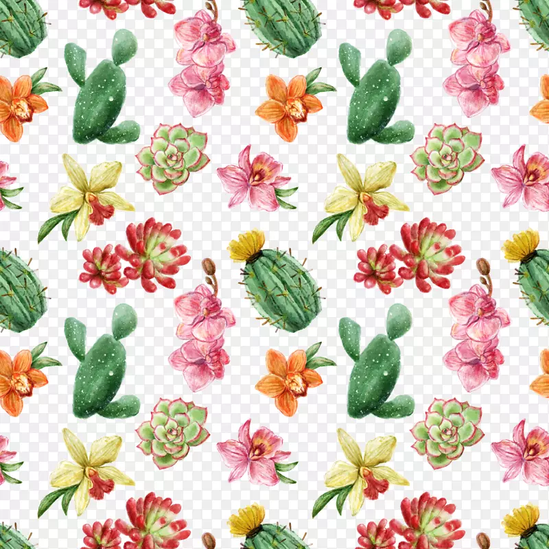 ����ֲ�������ƿ���ɫֲ���ֻ�ˮ��ֲ��-������