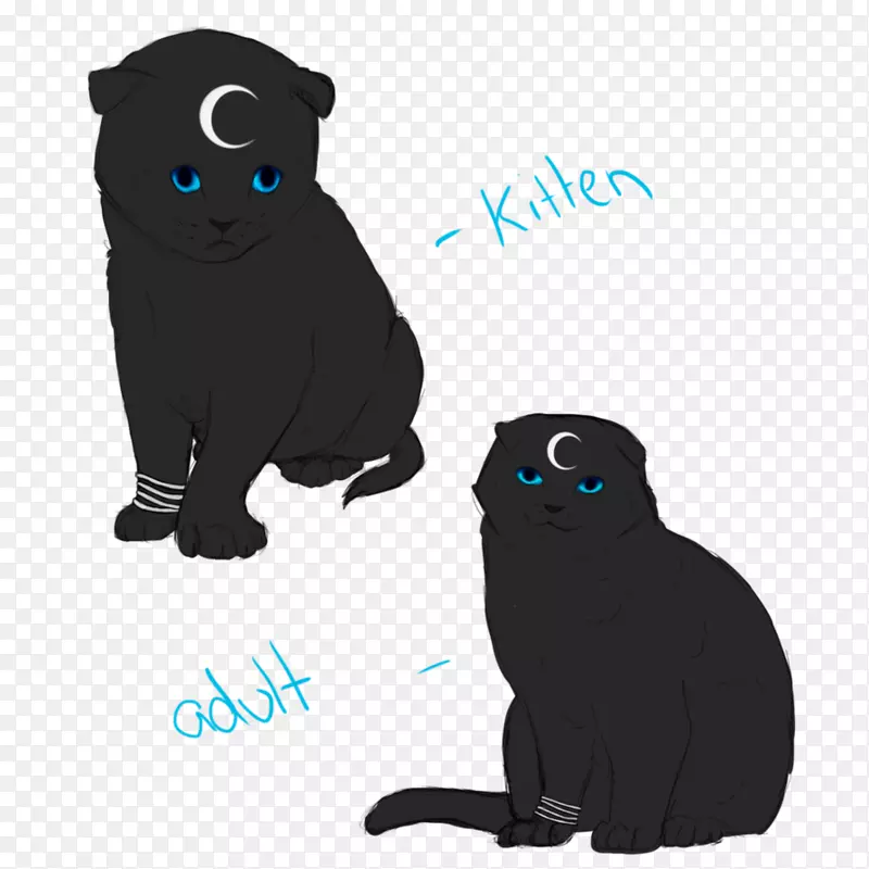 ��è��������-�ո�������-������