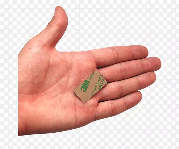 Ĵָ-NOI-������