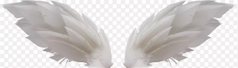 ��������-�׳��PNG-������