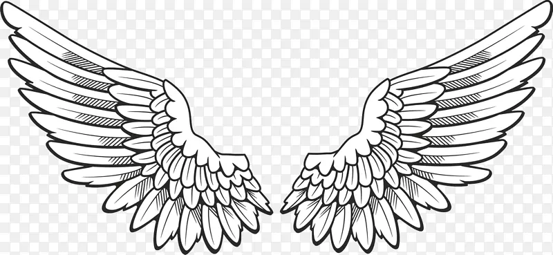 ͼ���������-���PNG-������