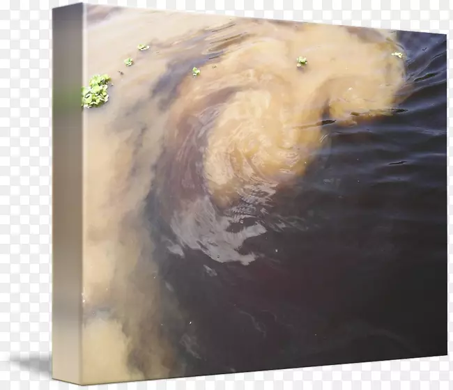 ������-�������-������