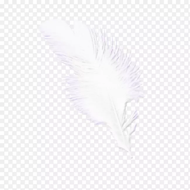 ��ëͼ��-��ë-������