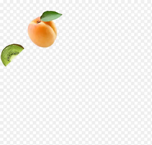 ������ʳƷ��Ƥ��ȻʳƷ����-������