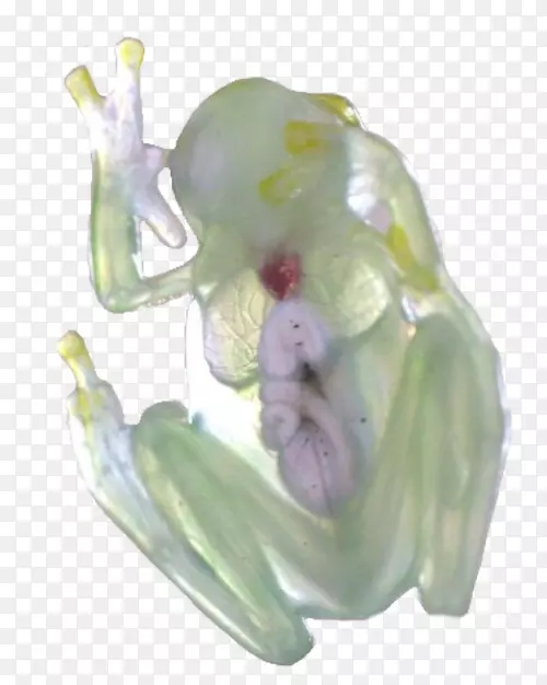 ���ܲ��������ܺ�����-����-������