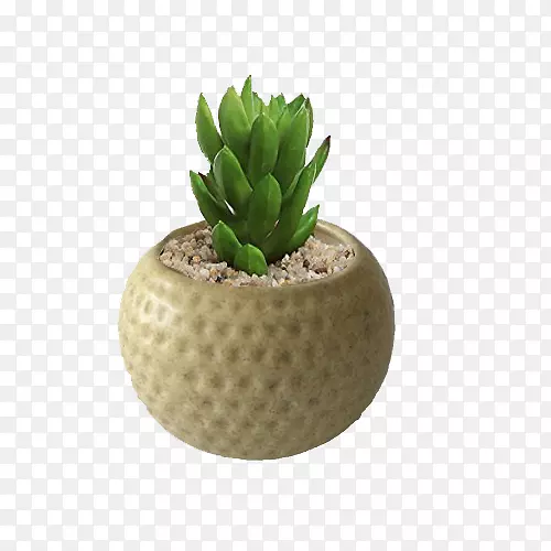 �����մ�԰���ֻ��-������