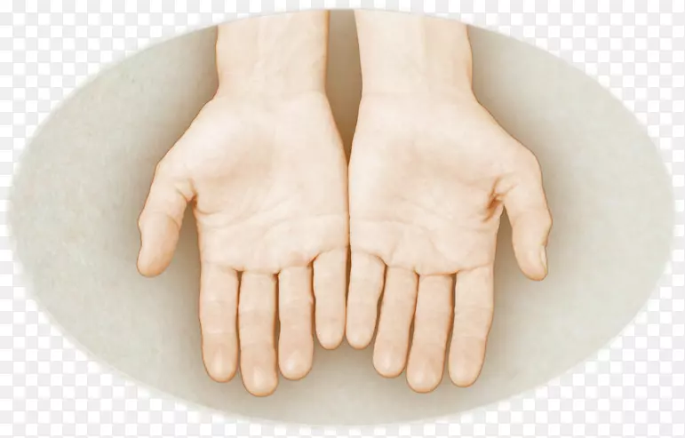 Ĵָ��ģ��-������