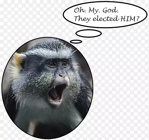 ⨺�ı���-�찡-������