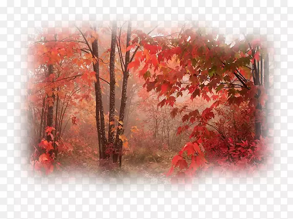 �����ﶯ��-�＾ɭ��-������