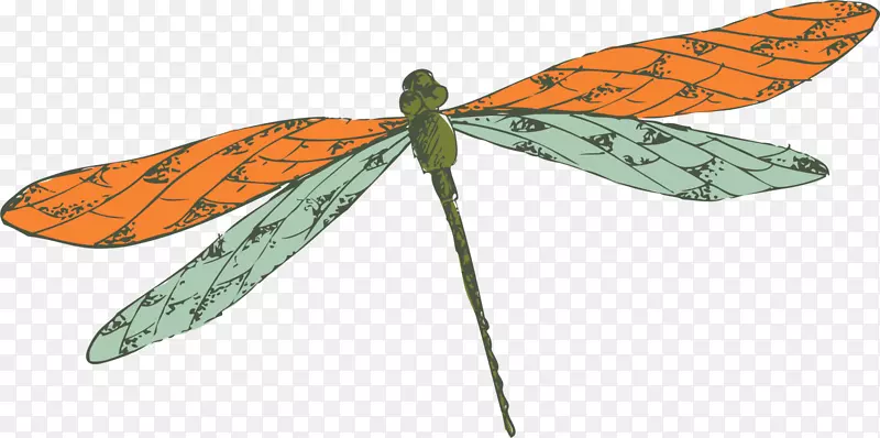 �����������ѻ�����-������