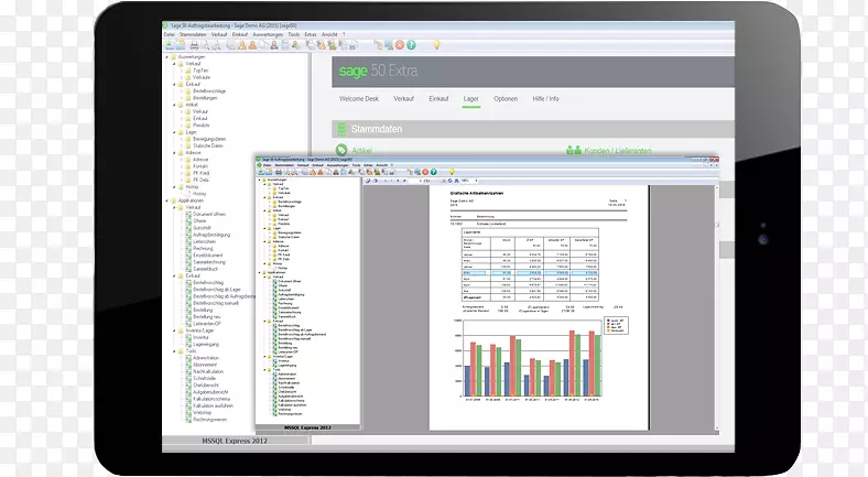 ����Ʒ�ƶ�ý������-Salvia-������