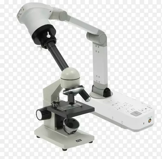 �ļ��������������ý��ͶӰ��.�����-������