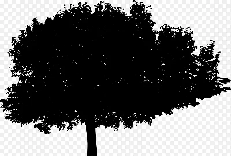 ̫ƽ����Դ���޹�˾-��ľ�Լ�Ӱ-������