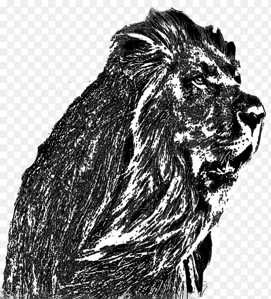 ʨ��϶��Ͷ���èʨ-������