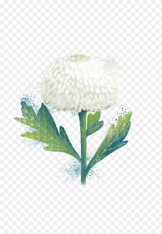 �ѹ�Ӣ����ˮ�ʻ���դͼ���ֻ��ѹ�Ӣ-������