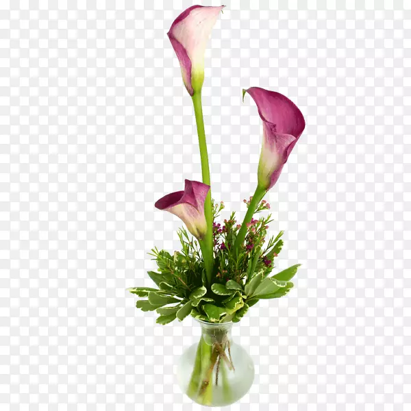 �ٺϻ����л��ٺϻ�-������