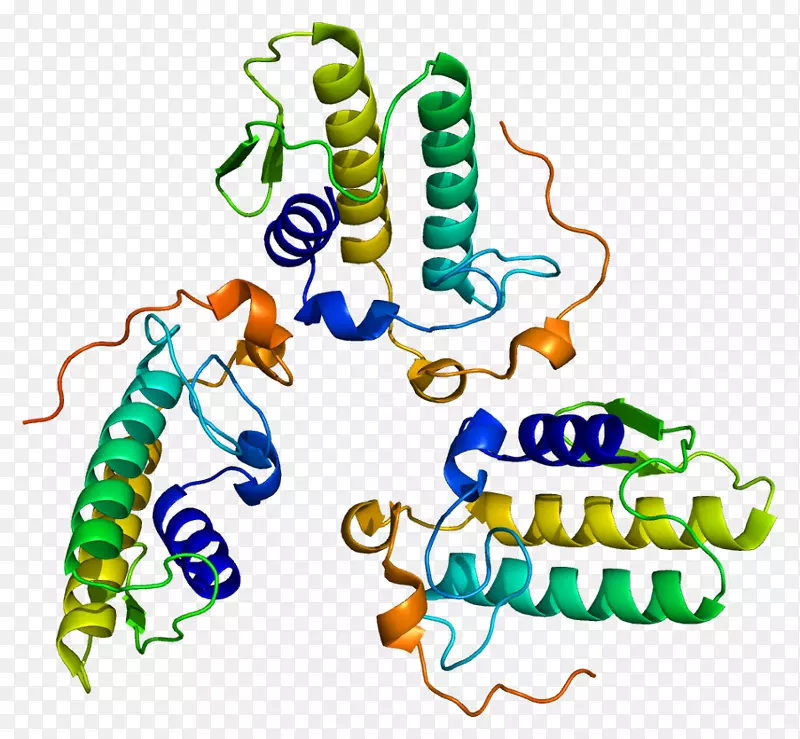 ���������л����߼�������-������