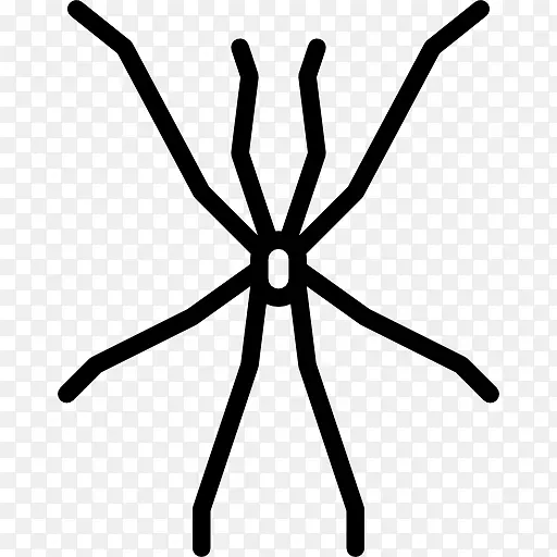 ��������ѧ���θټ�����-����-������