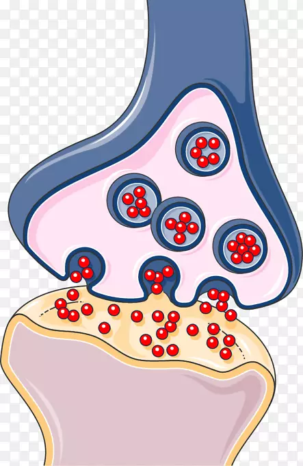 ͻ����ϵͳ�񾭿�ѧ��Ԫ��������-������