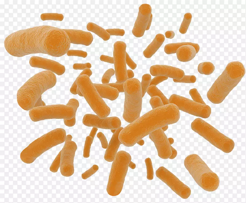 ��������ʳ���������Ӫ����������-������