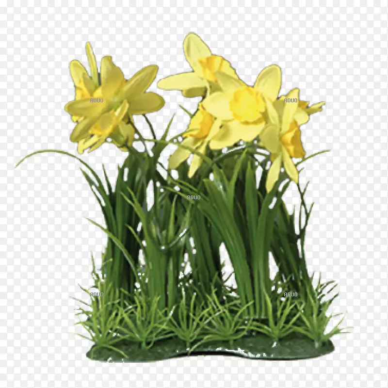 ��������л���������-��-������