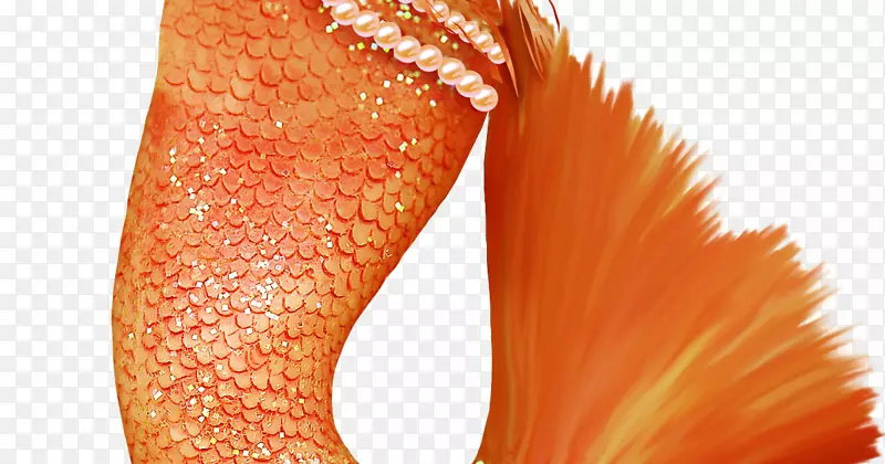 ��Ӱ��ͼͼ�����.��������-������