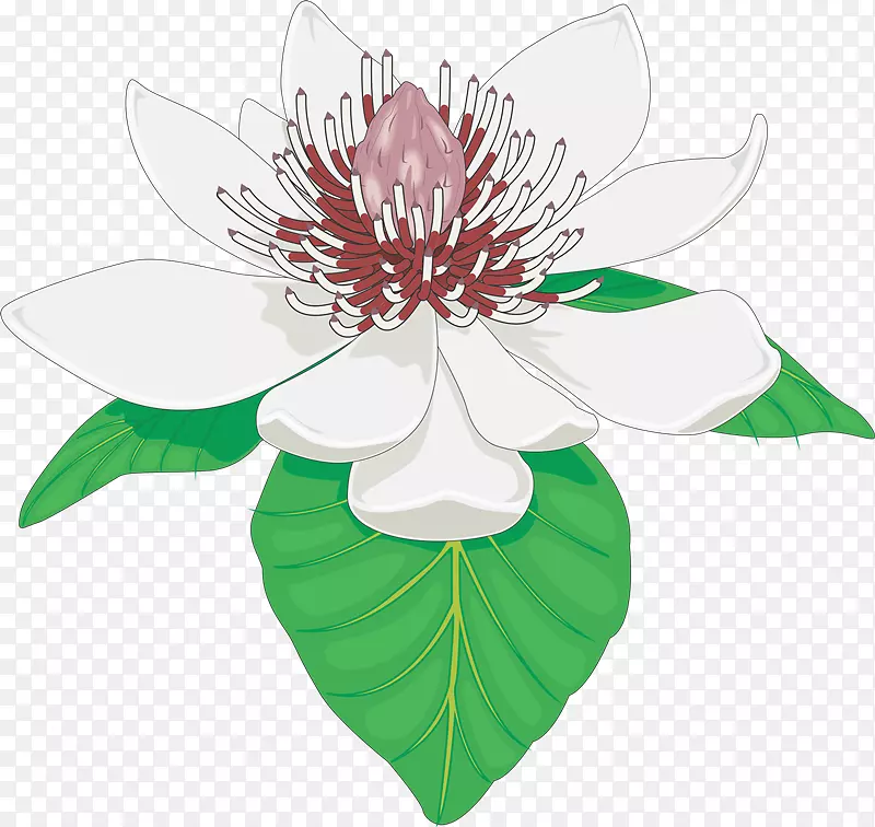 ����ֲ��������Ƥ������-��-������