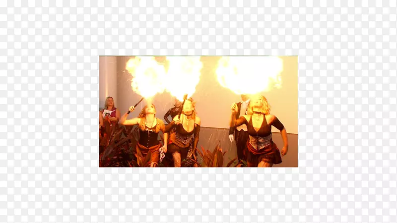 �����ֽ����-������